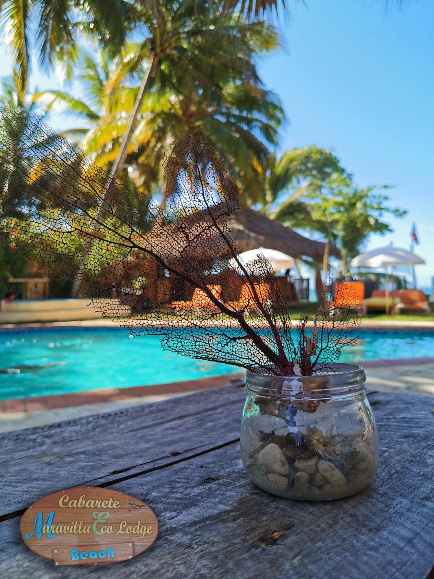 Beach Cabarete Ecolodge De Luxe Maravilla Encuentro Surf, Kite Esterno foto